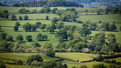 Shropshire landscape