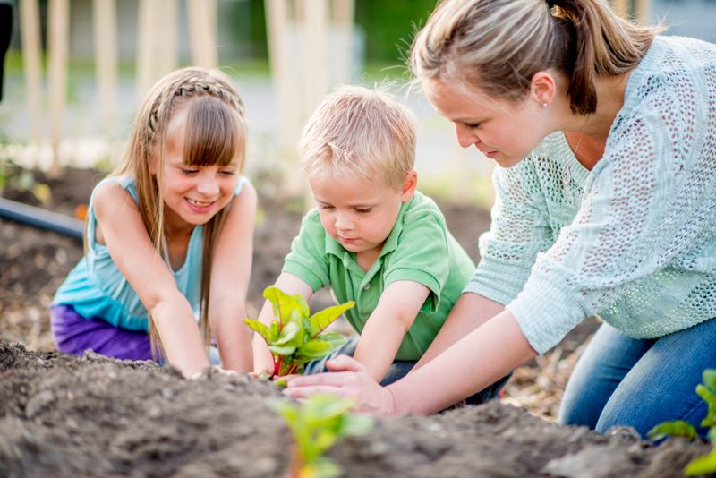 Mother and children gardening together