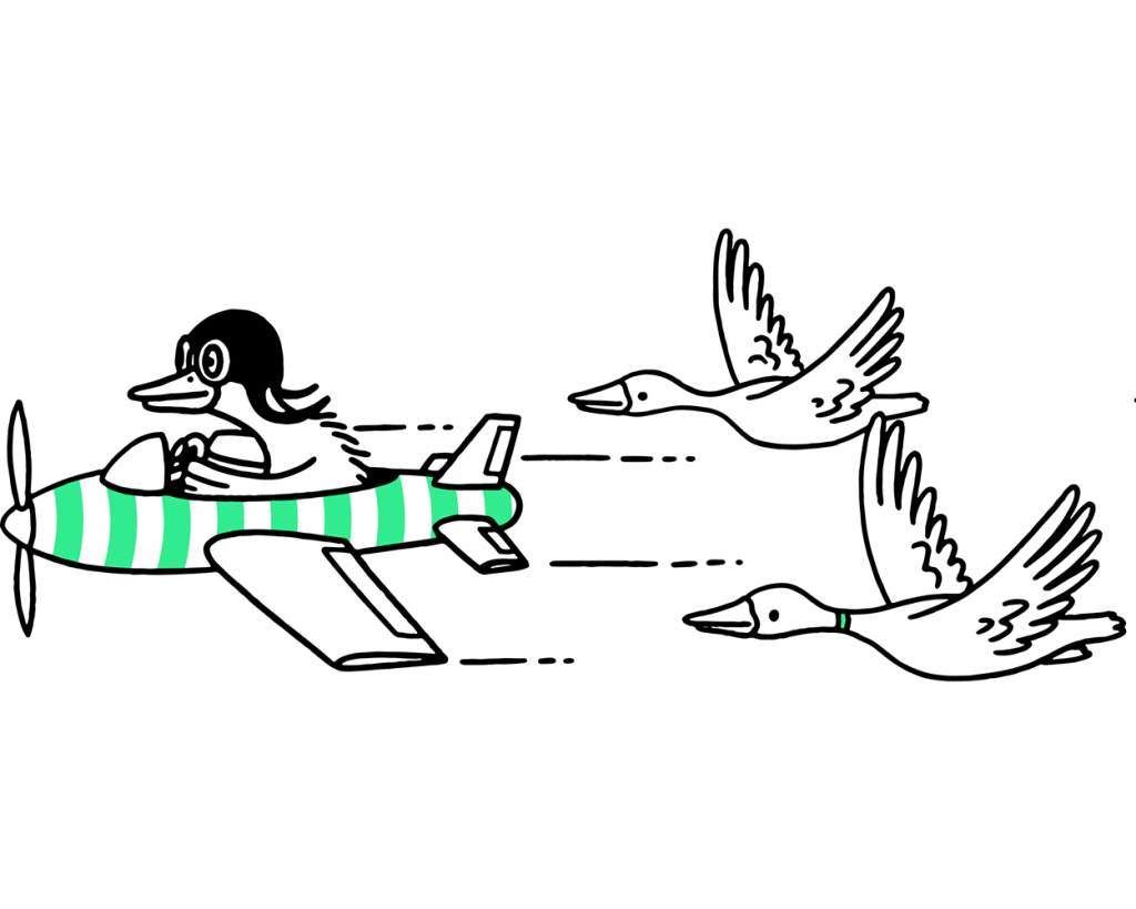 Illustration Duck Plane